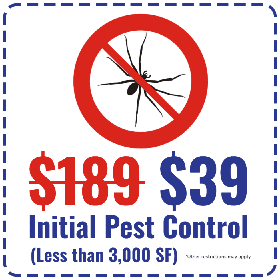 Promotions Dave's Termite and Pest Control Serving Broussard