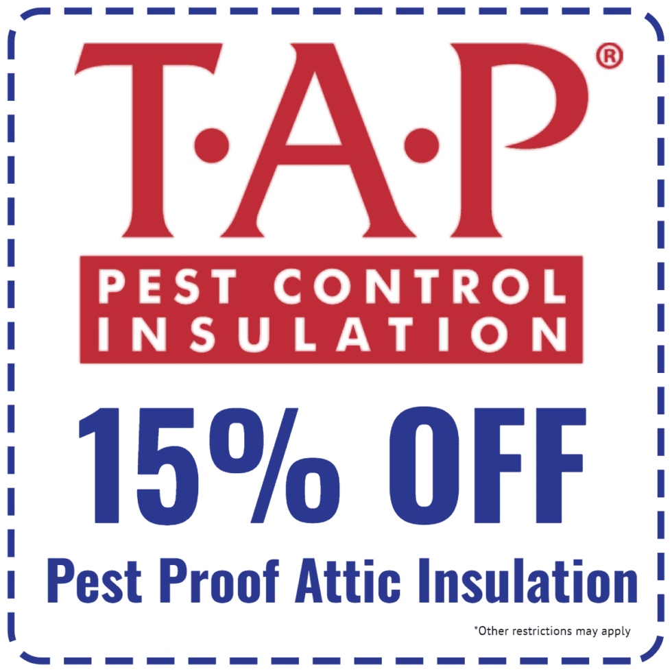 Promotions Dave's Termite and Pest Control Serving Broussard